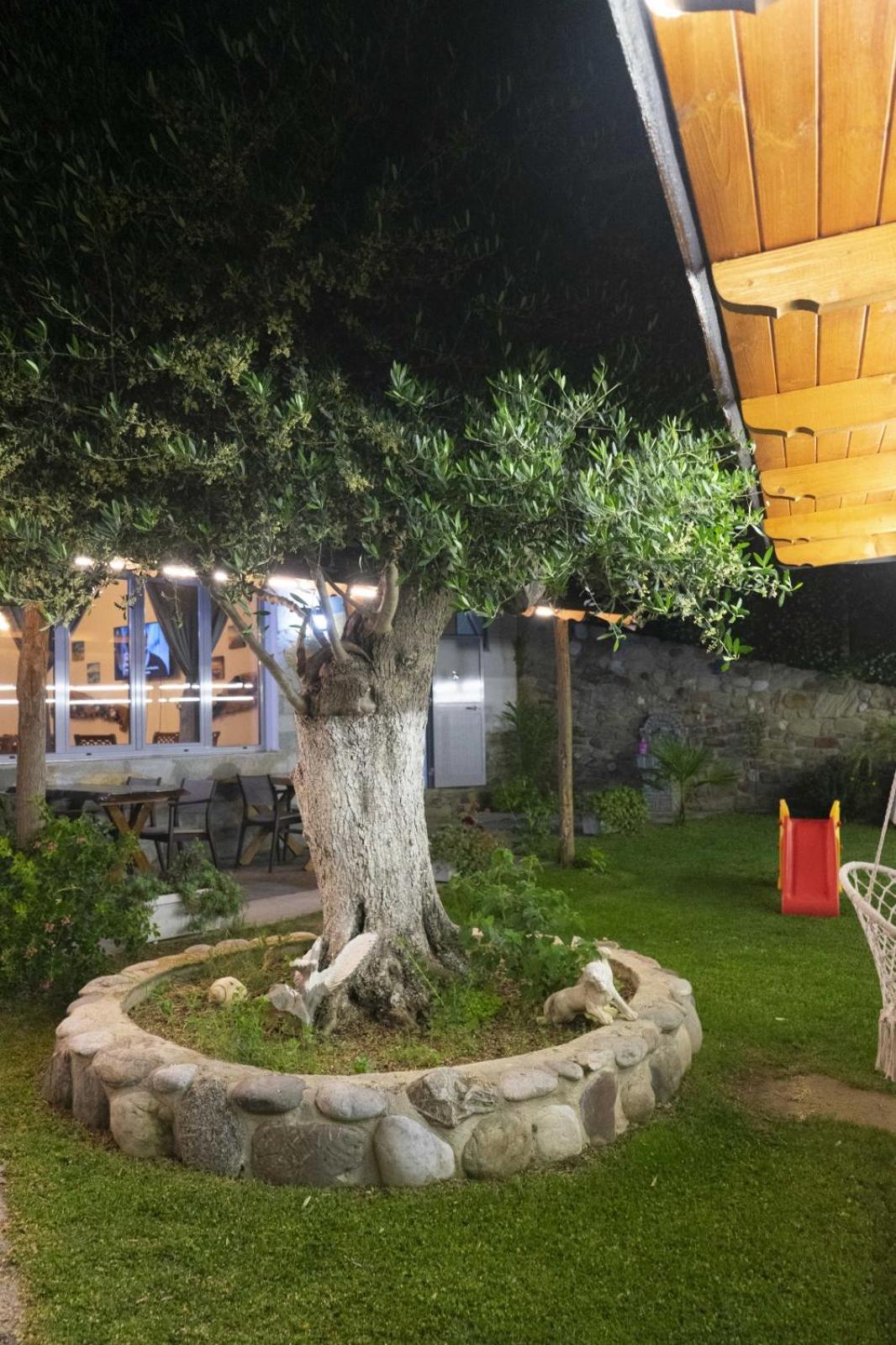 Restorant Olti Hotel *